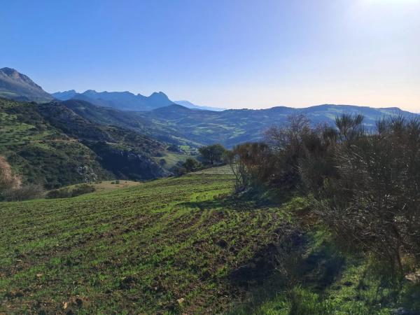 Terreno en avenida de Blas Infante