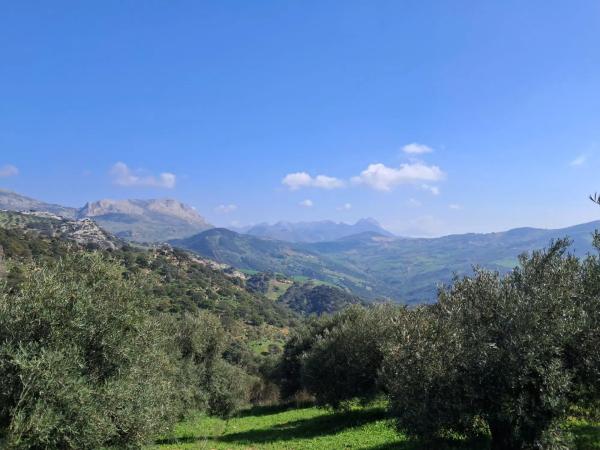 Terreno en avenida de Blas Infante