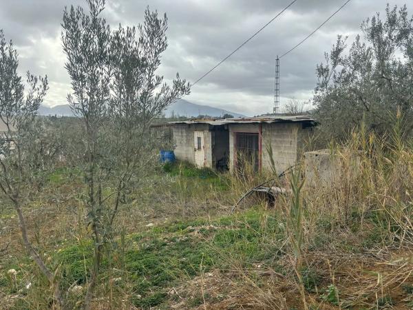 Terreno en Diseminado Poligono 30, 162 --b