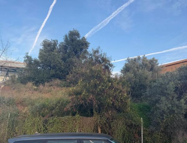 Terreno en Urbanizacion Añoreta, 7 -m