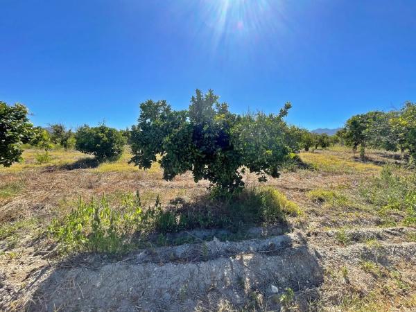 Terreno en Lugar Dehesa Baja