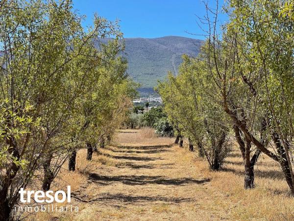 Terreno en Lugar Dehesa Baja