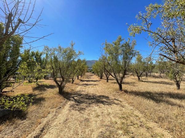 Terreno en Lugar Dehesa Baja