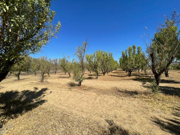 Terreno en Lugar Dehesa Baja