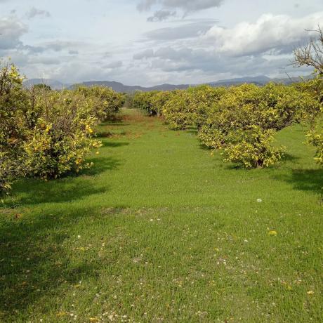 Terreno en Lugar Dehesa Baja