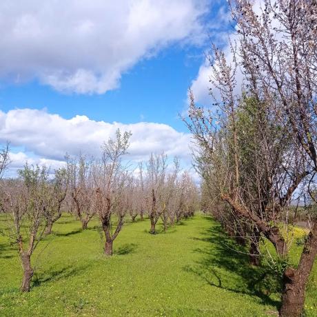 Terreno en Lugar Dehesa Baja