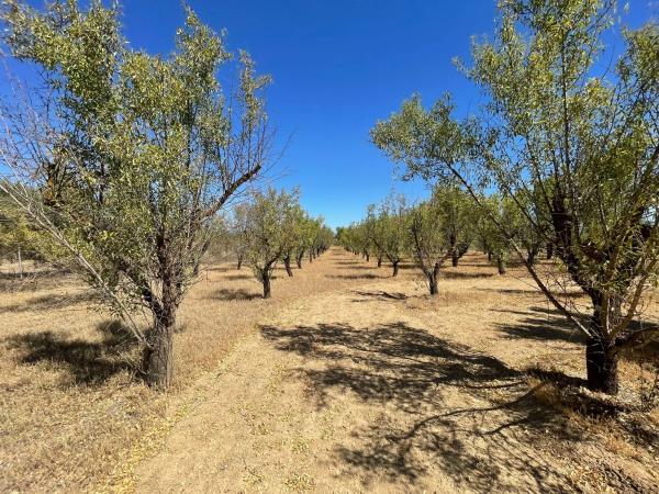 Terreno en Lugar Dehesa Baja