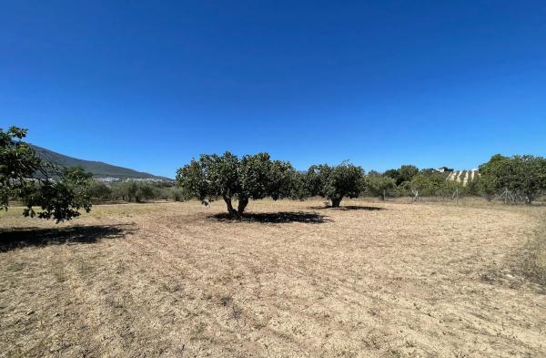 Terreno en Lugar Dehesa Baja