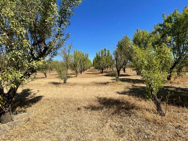 Terreno en Lugar Dehesa Baja