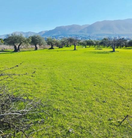 Terreno en Lugar Dehesa Baja