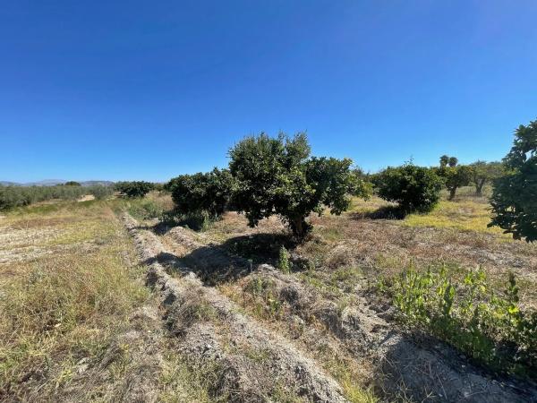 Terreno en Lugar Dehesa Baja