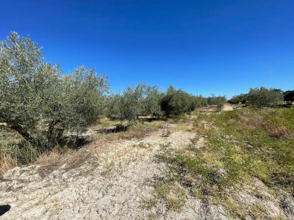 Terreno en Lugar Dehesa Baja