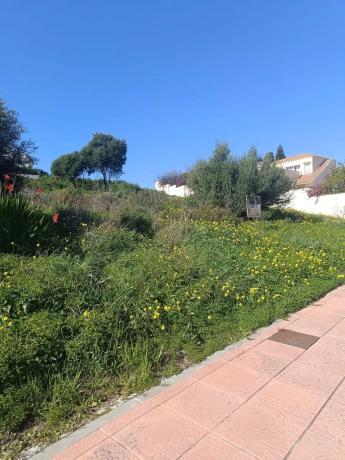 Terreno en calle Guatemala