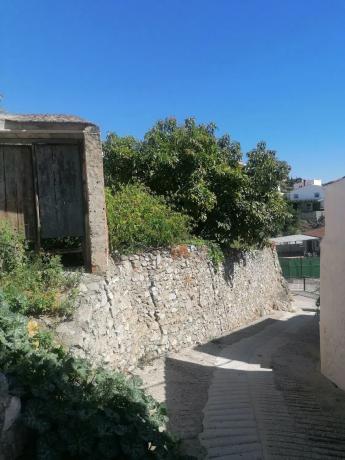 Terreno en calle Caṅuelo, 3 PoligonoParcela