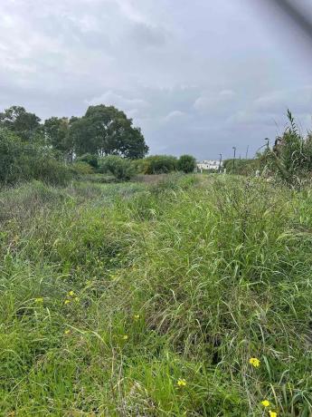 Terreno en calle Periana, 40