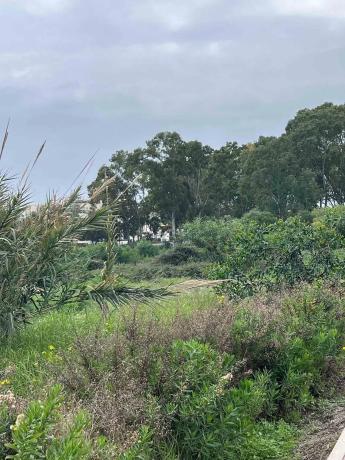 Terreno en calle Periana, 40