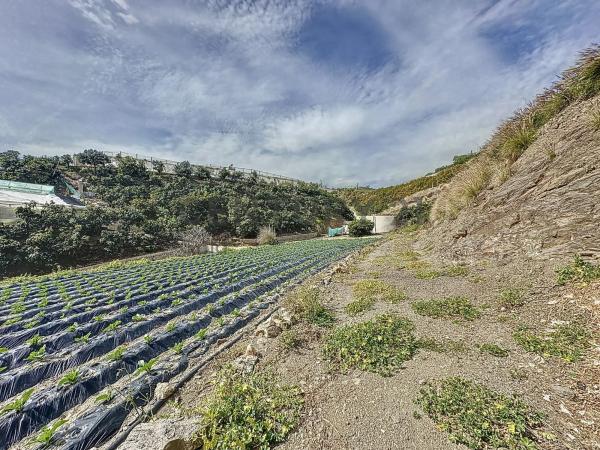 Terreno en La zarzaparrilla