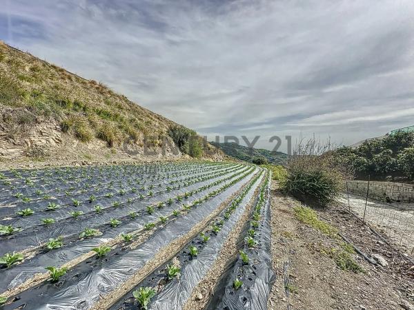 Terreno en La zarzaparrilla