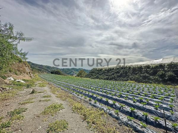 Terreno en La zarzaparrilla