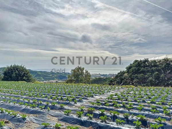 Terreno en La zarzaparrilla