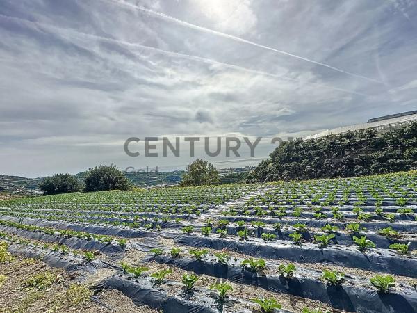 Terreno en La zarzaparrilla