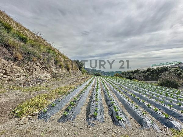 Terreno en La zarzaparrilla