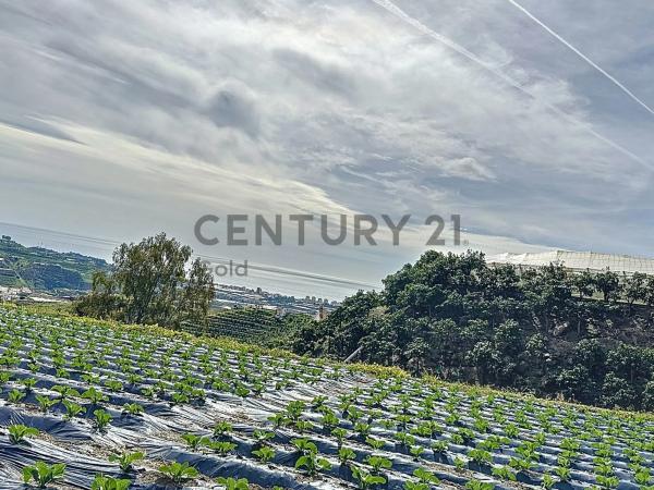Terreno en La zarzaparrilla