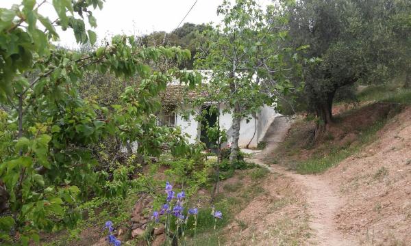 Terreno en Rosas del Pozuelo, km 20