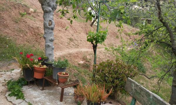Terreno en Rosas del Pozuelo, km 20