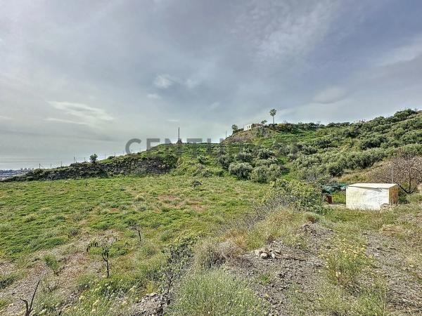 Terreno en camino Zarzaparrilla