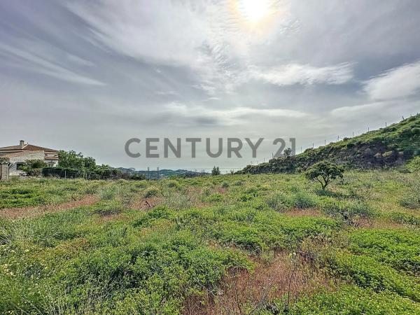 Terreno en camino Zarzaparrilla