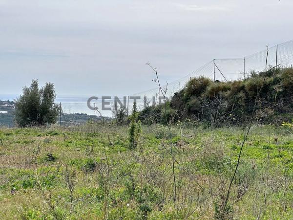 Terreno en camino Zarzaparrilla