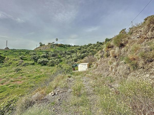 Terreno en camino Zarzaparrilla