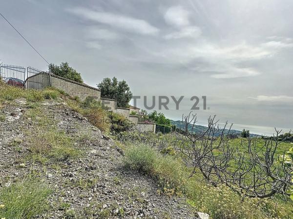 Terreno en camino Zarzaparrilla