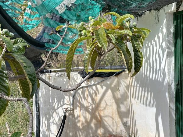 Terreno en camino Zarzaparrilla