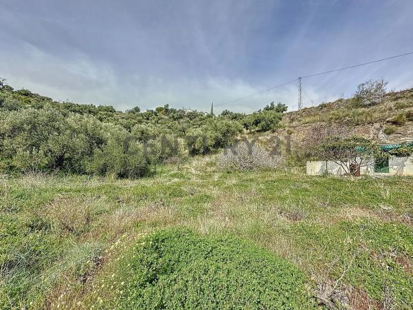 Terreno en camino Zarzaparrilla