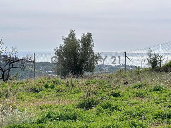 Terreno en camino Zarzaparrilla