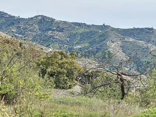 Terreno en camino Zarzaparrilla