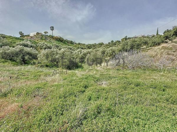 Terreno en camino Zarzaparrilla