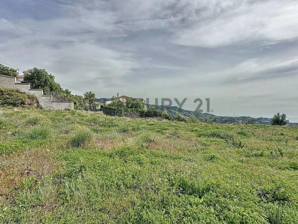 Terreno en camino Zarzaparrilla