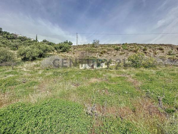 Terreno en camino Zarzaparrilla