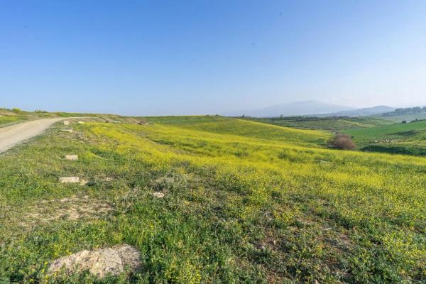 Terreno en Diseminados