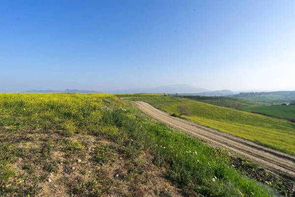 Terreno en Diseminados
