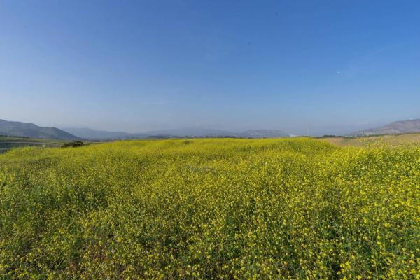 Terreno en Diseminados