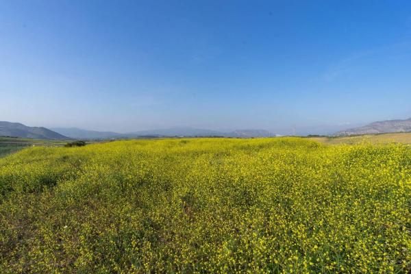 Terreno en Diseminados