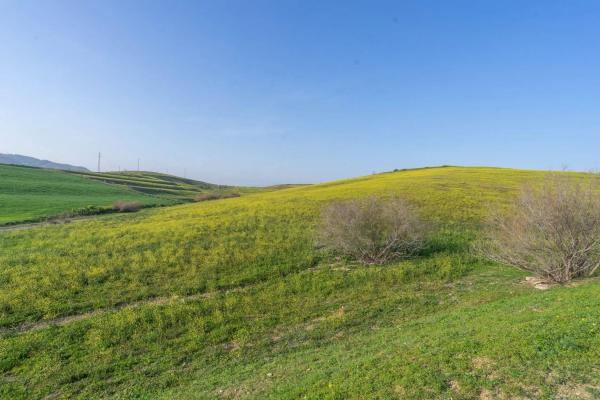 Terreno en Diseminados