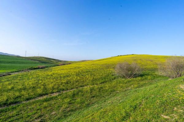 Terreno en Diseminados