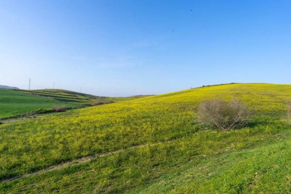 Terreno en Diseminados