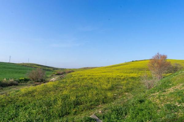 Terreno en Diseminados