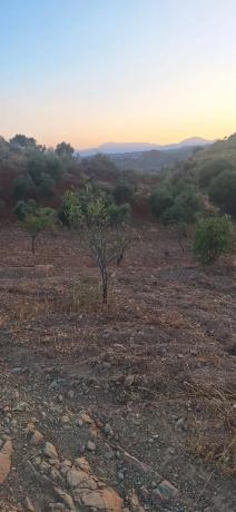Terreno en paraje de buenavista s/n sn